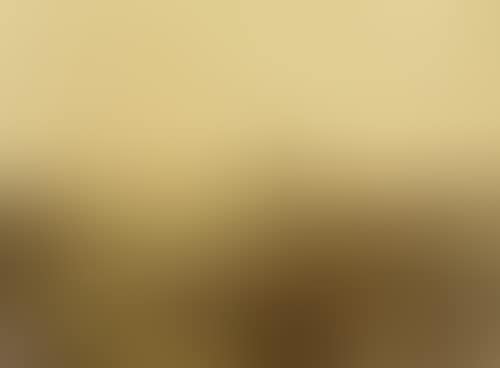 JAPAN (preview)
