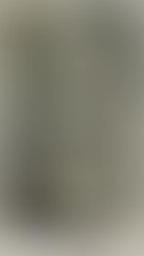 Nude Descending a Staircase, No. 2 (preview)