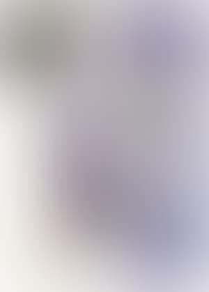 Untitled (Sleeping Dog) (preview)