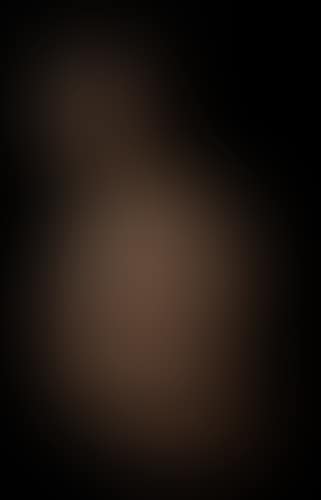 Torso, Portrait of Joan (preview)