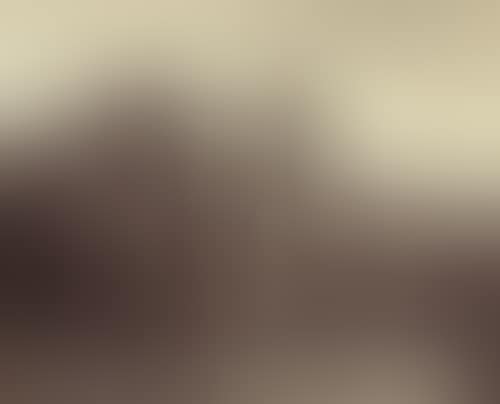 TURKEY (preview)
