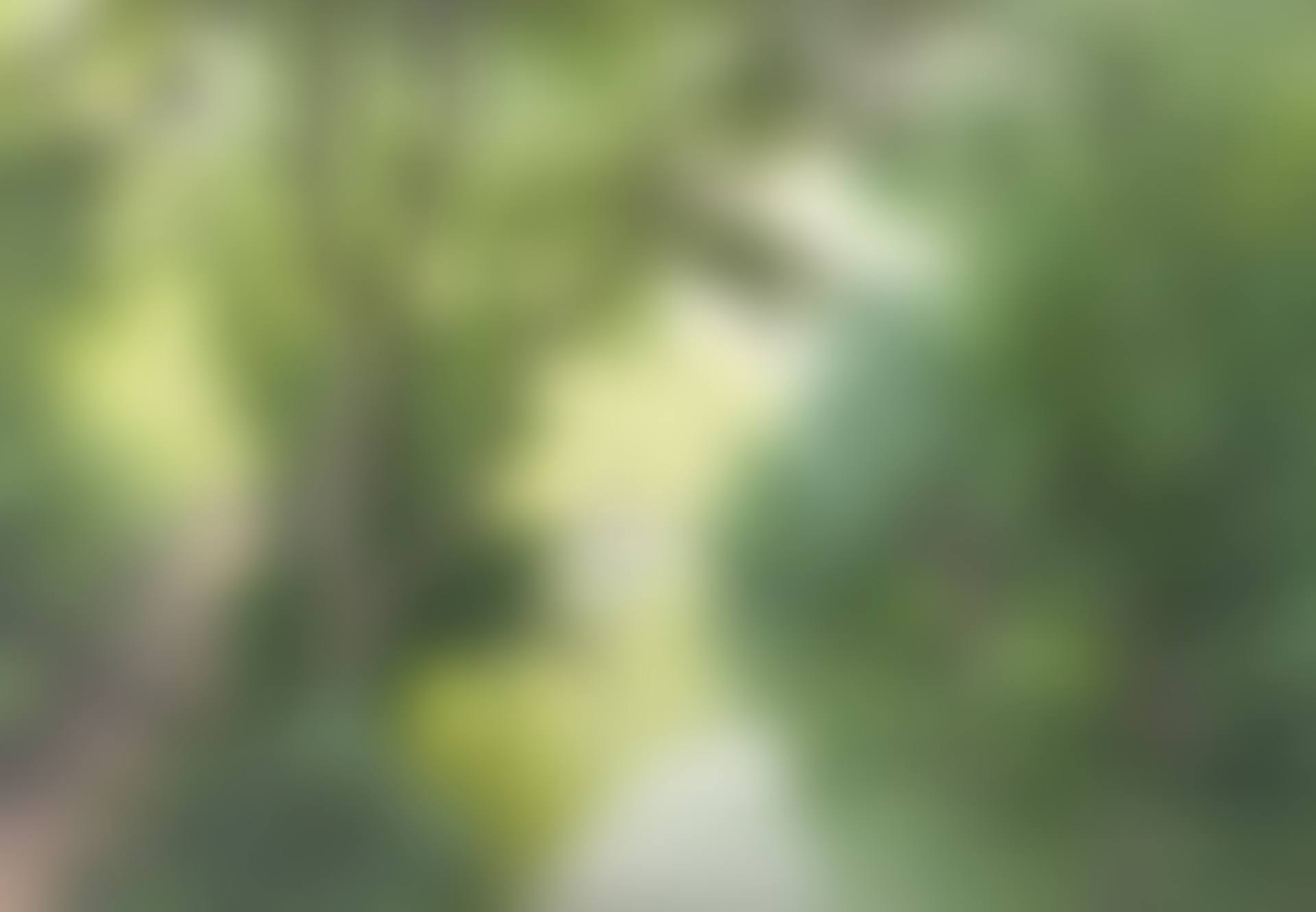 Le chemin d"Aiglard (preview)