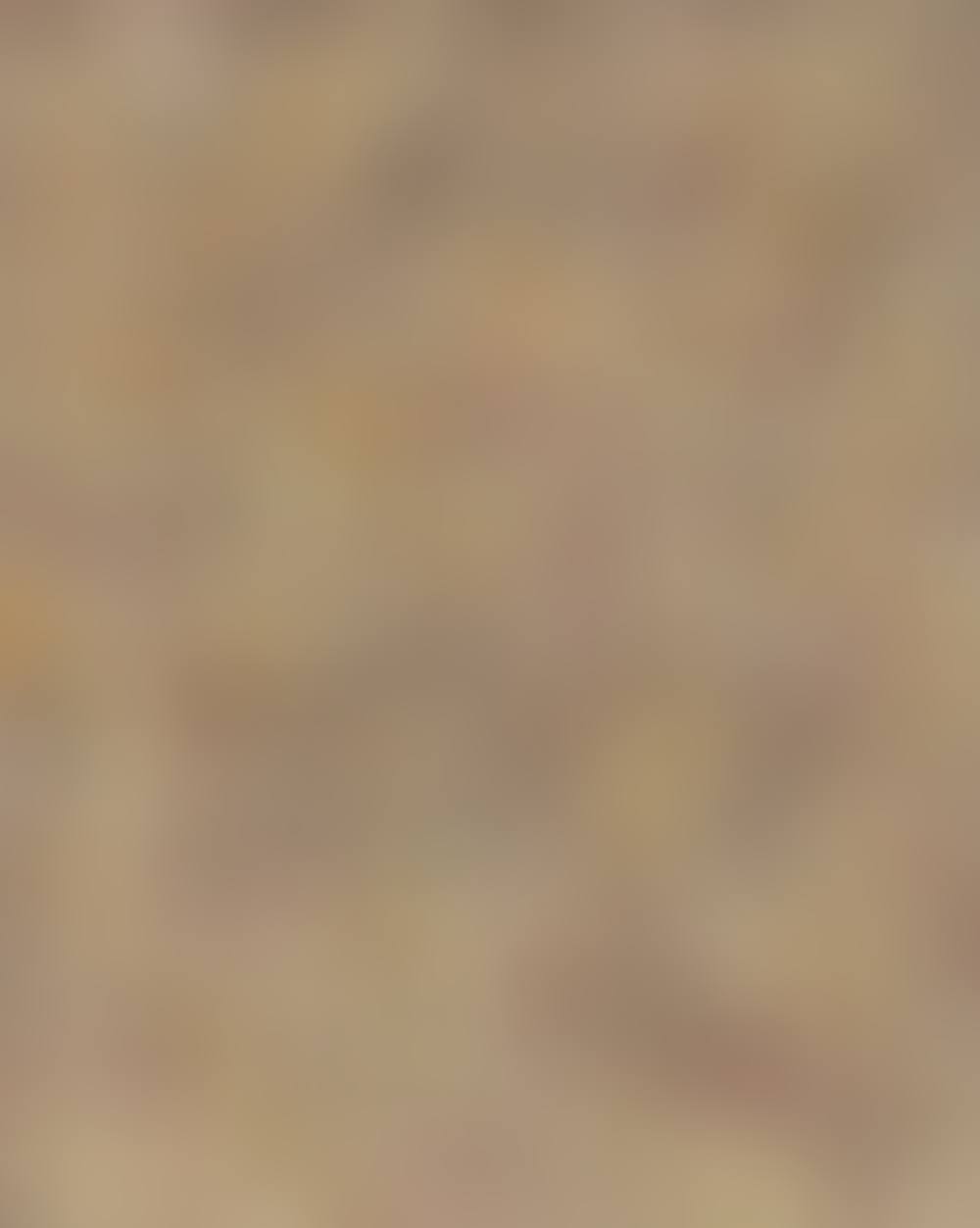 Recurrence (preview)