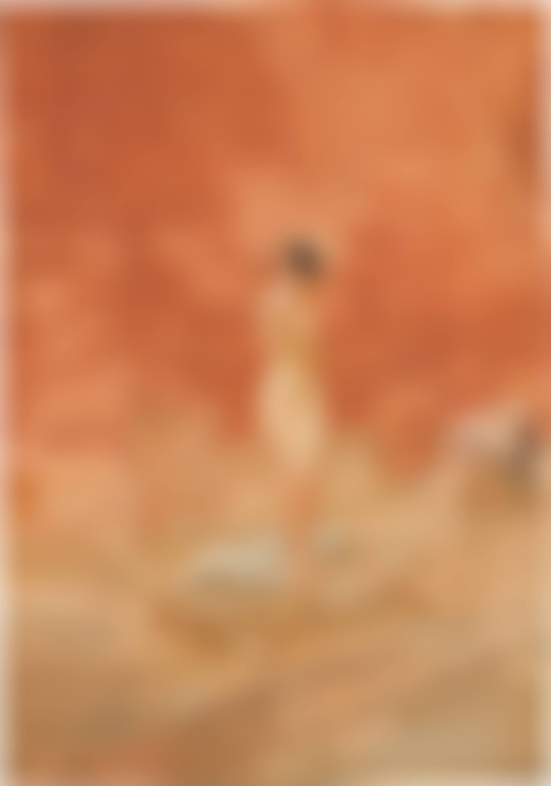 The red brick background (preview)