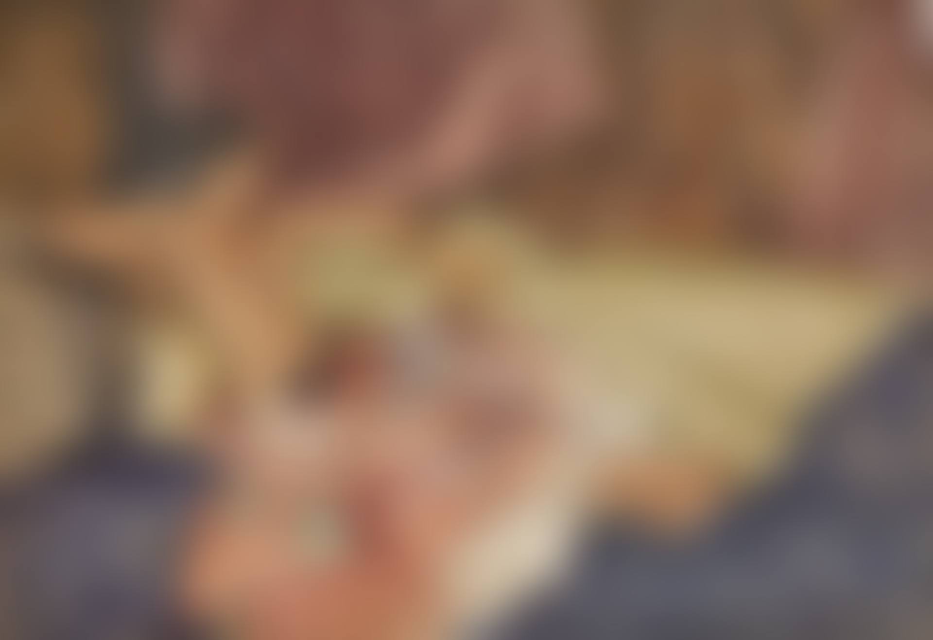 Olearia (preview)