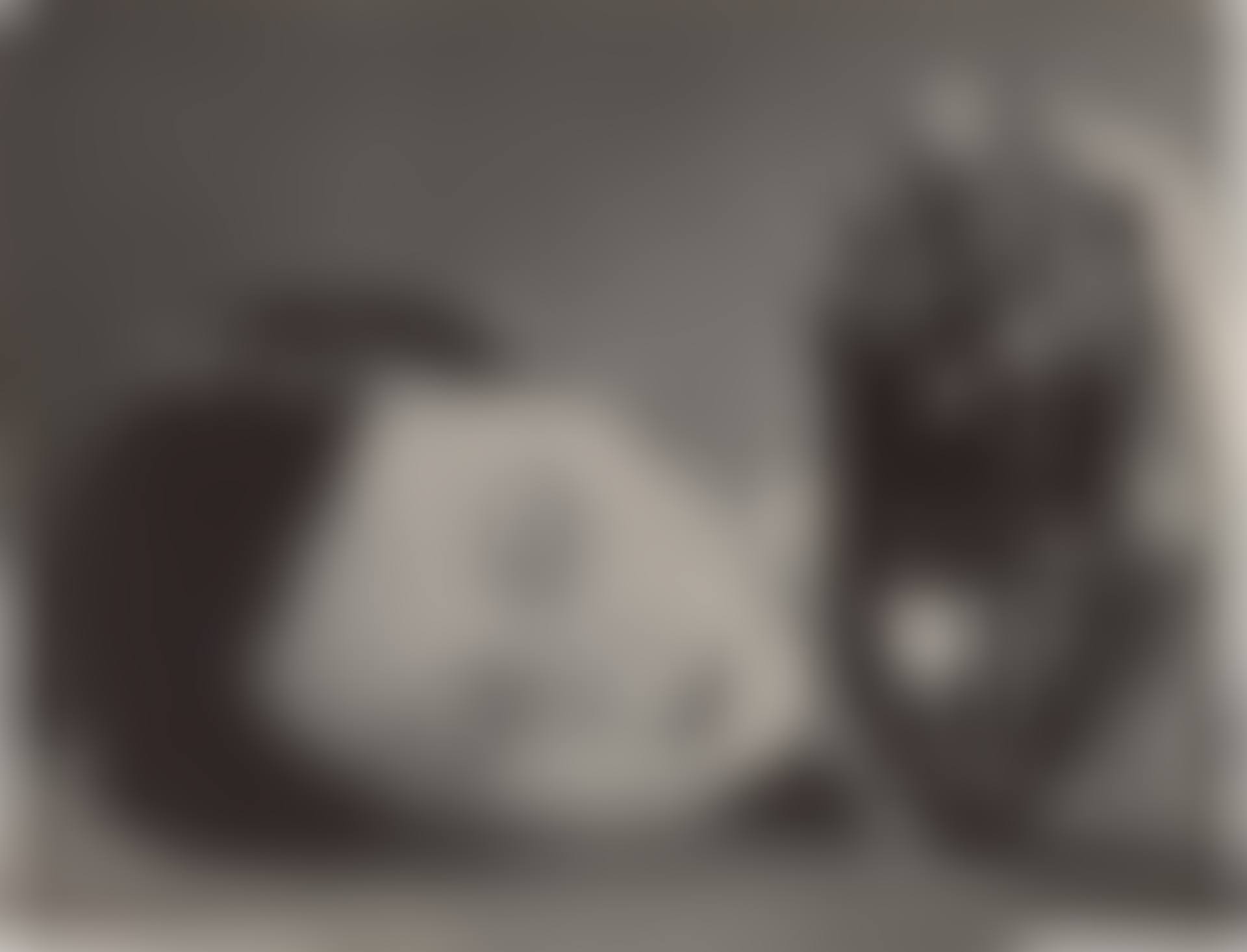 Noire et blanche (preview)