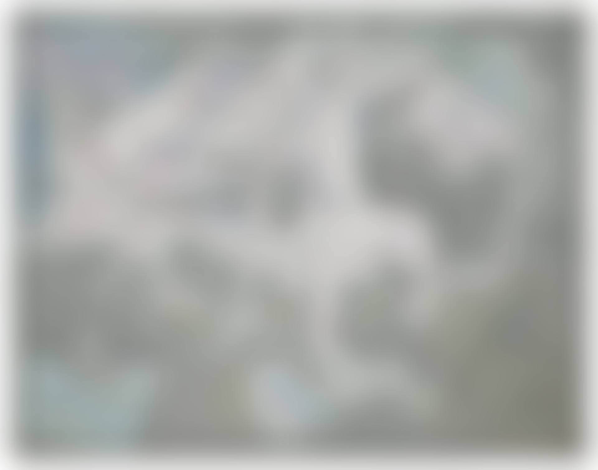 Exhibit #5 (preview)