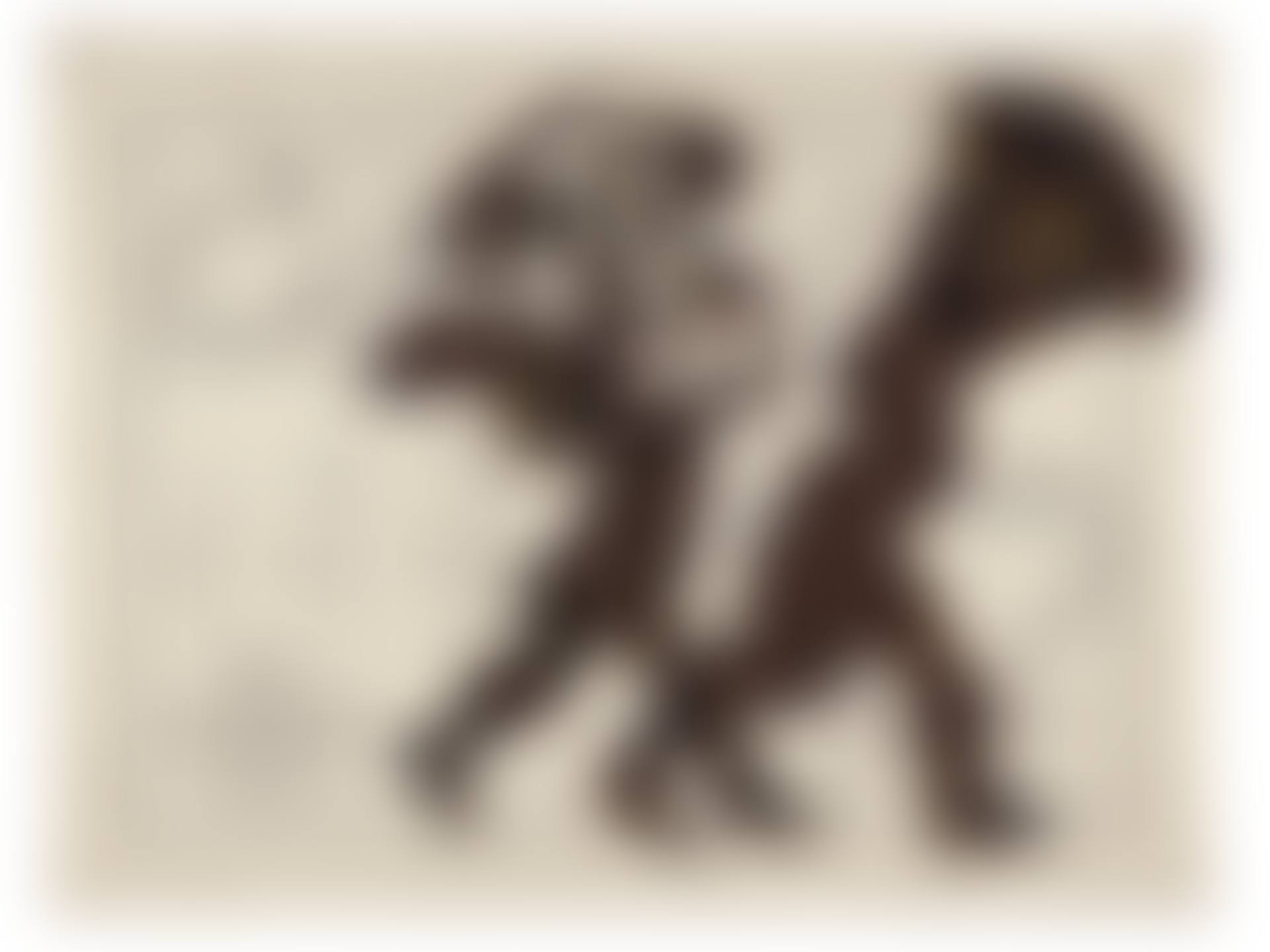 Porter Series: Geographie des Hebreux ou Tableau de la dispersion des Enfants de Noe (Noah) (preview)
