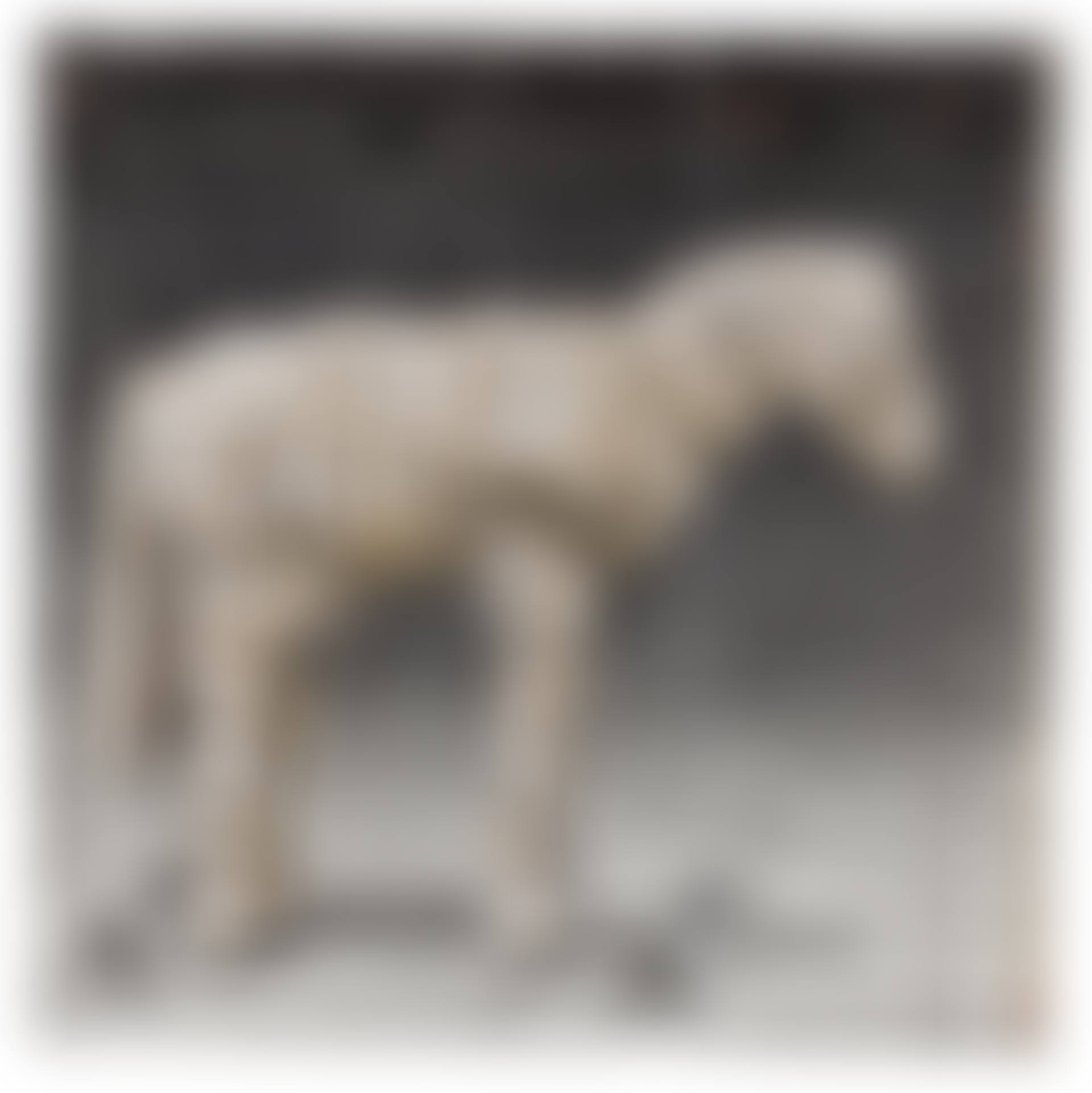 Wrapped Toy Horse (Project) (preview)