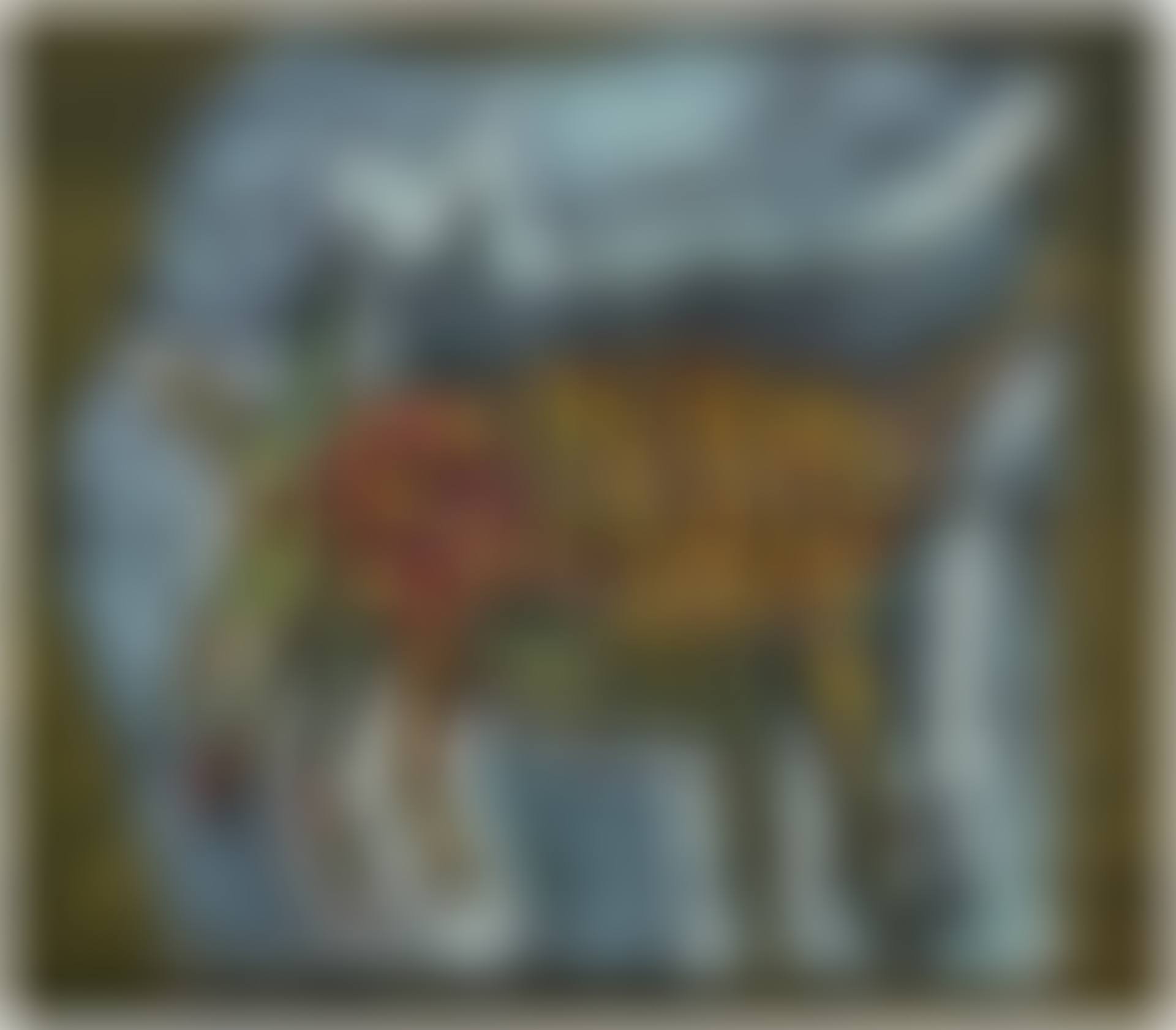 Moonlit Dead Armadillo (preview)