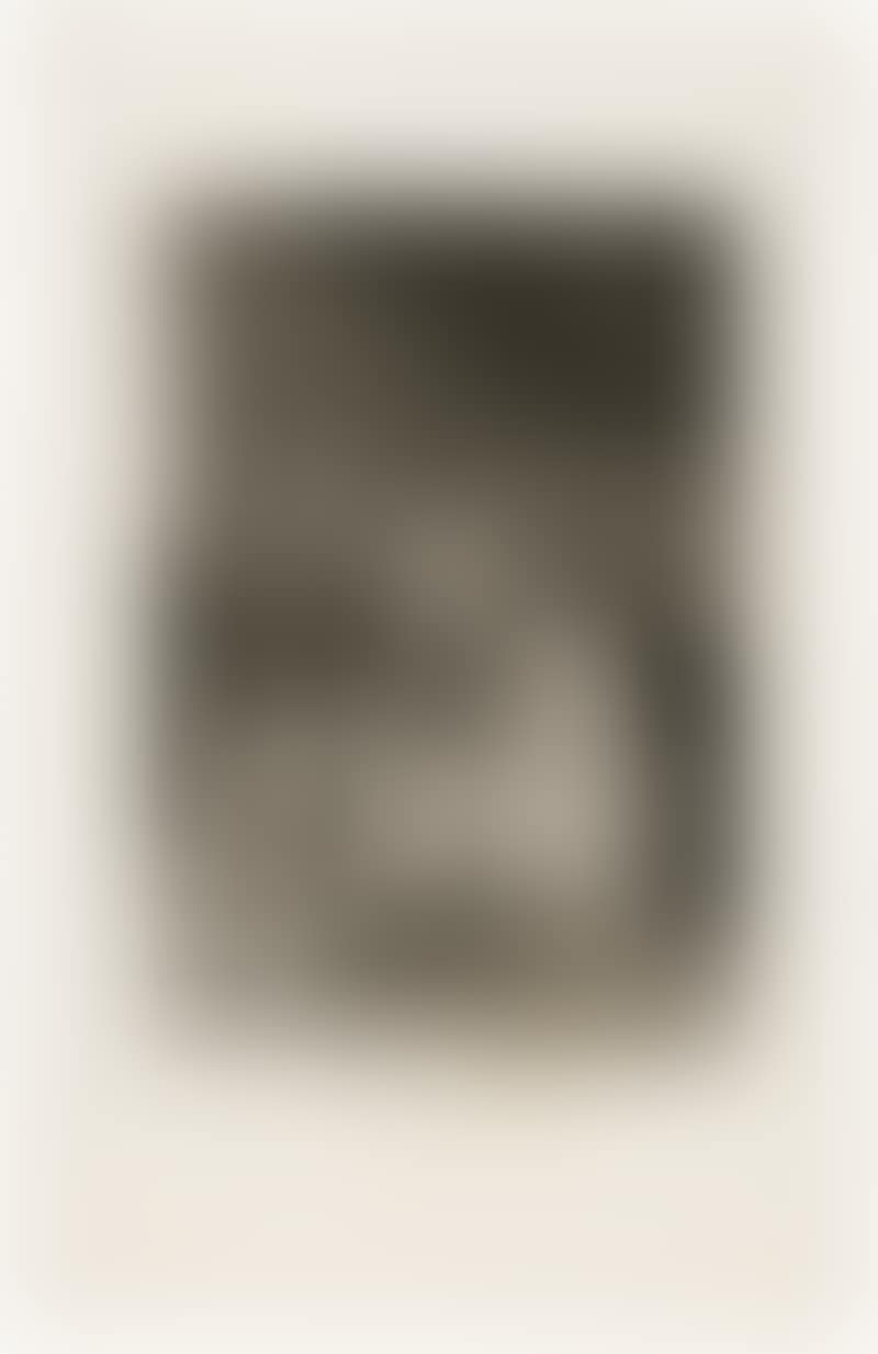Le descañona (preview)