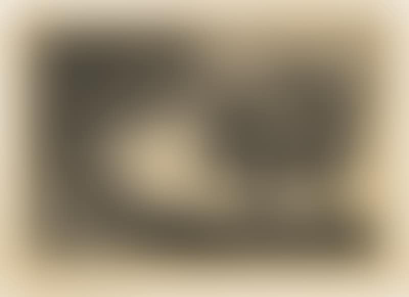 Disparate de beastia (preview)