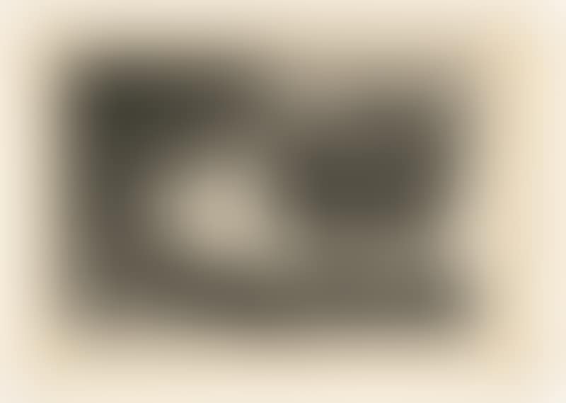 Disparate de Beastia (preview)