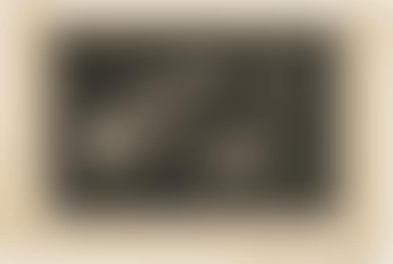 Disparate de Tontos (preview)
