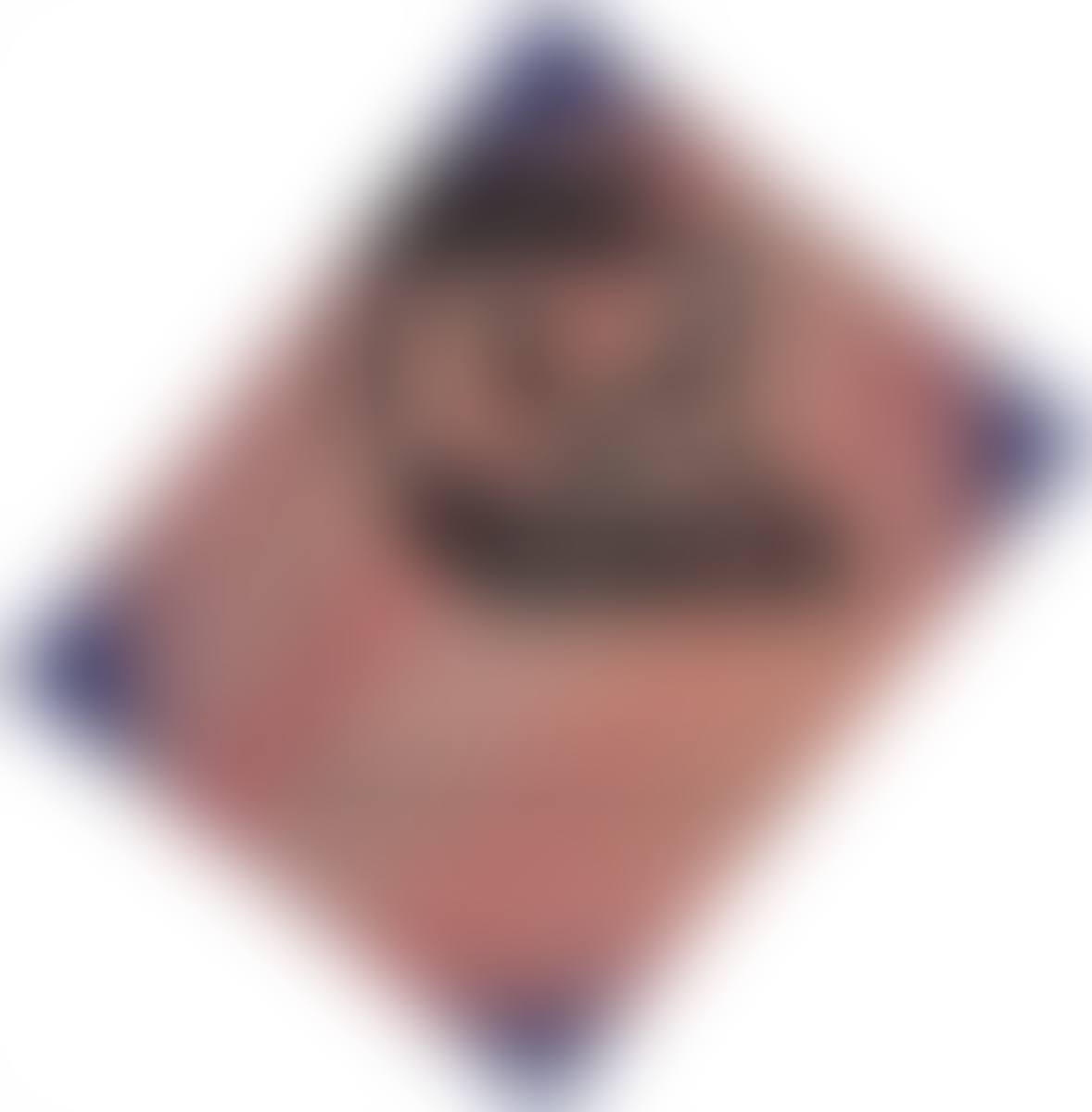 ”Dr Pabscht het z´Schipez s´Schpäckbschteck z´schpät bschteut” (preview)