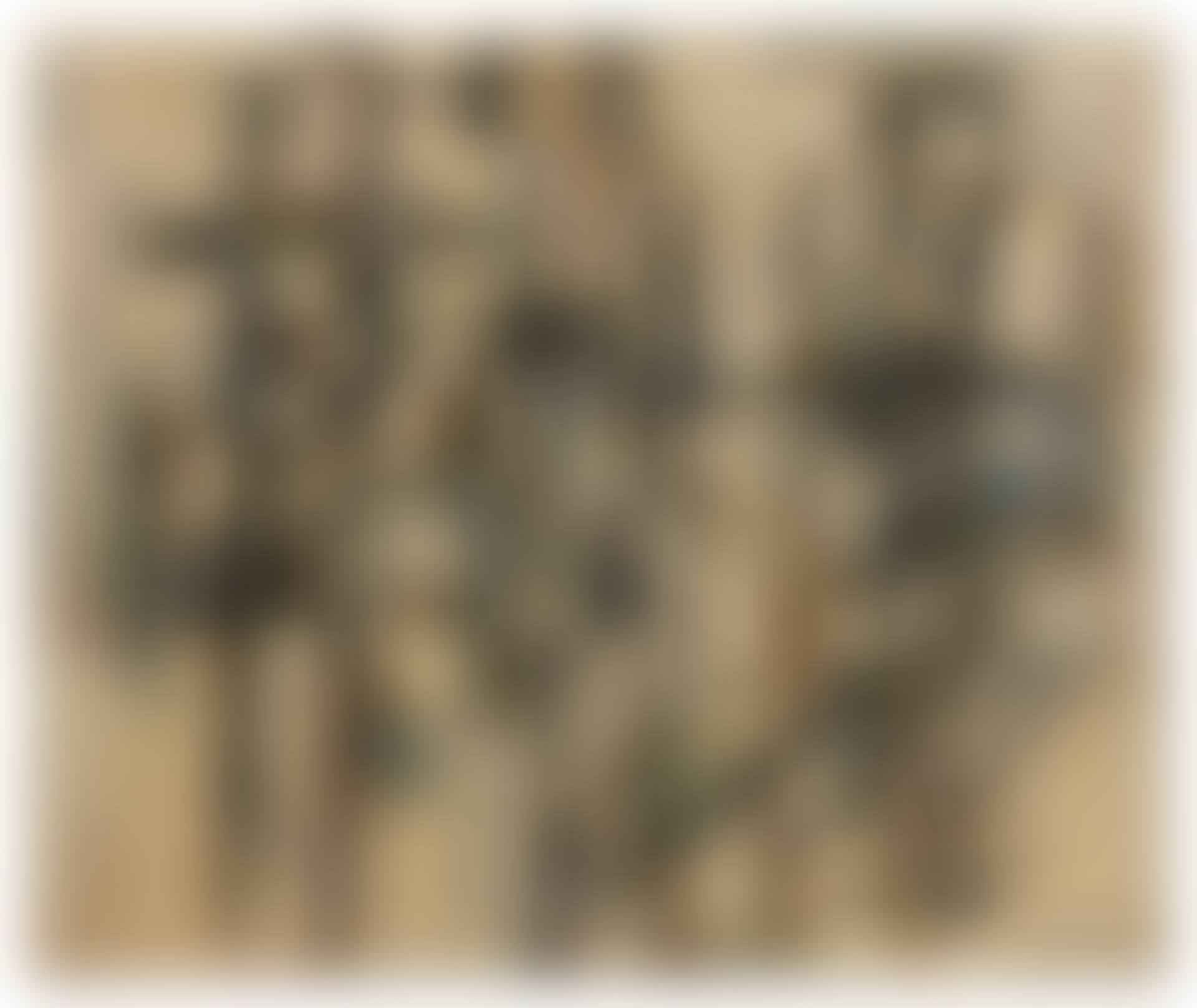 Composition (preview)