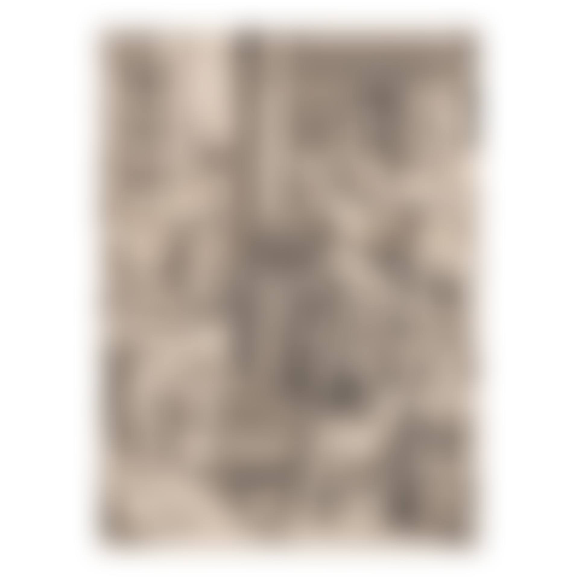 The Poet Virgil Suspended in a Basket (Bartsch, Hollstein, New Hollstein 136) (preview)