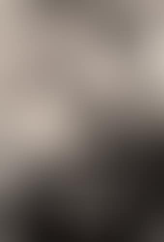 Untitled (triptych) (preview)