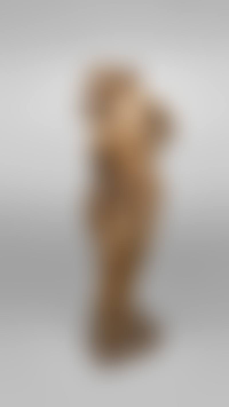 St. sebastian tied to a tree. (preview)