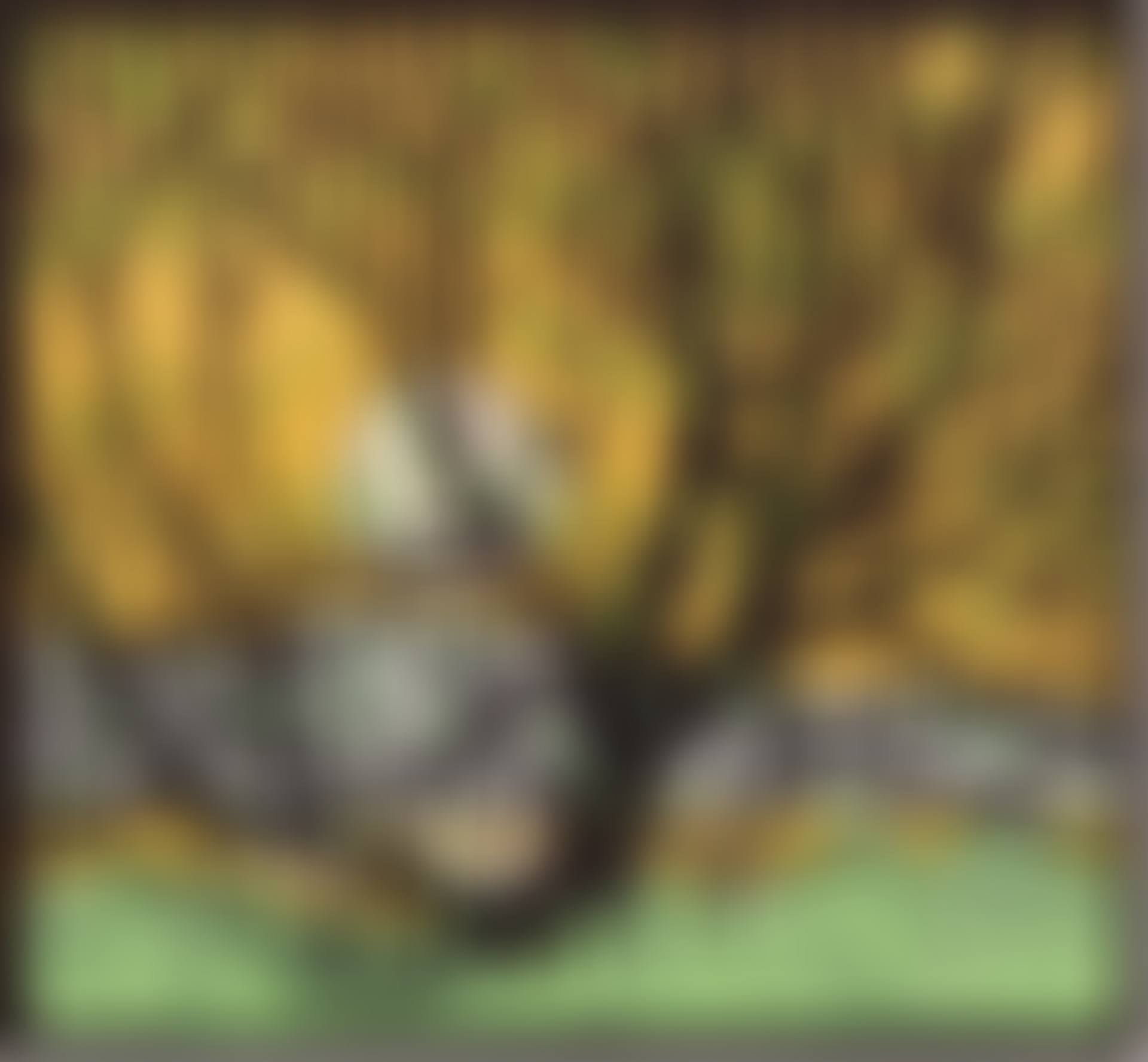 GRENADIER POND (preview)