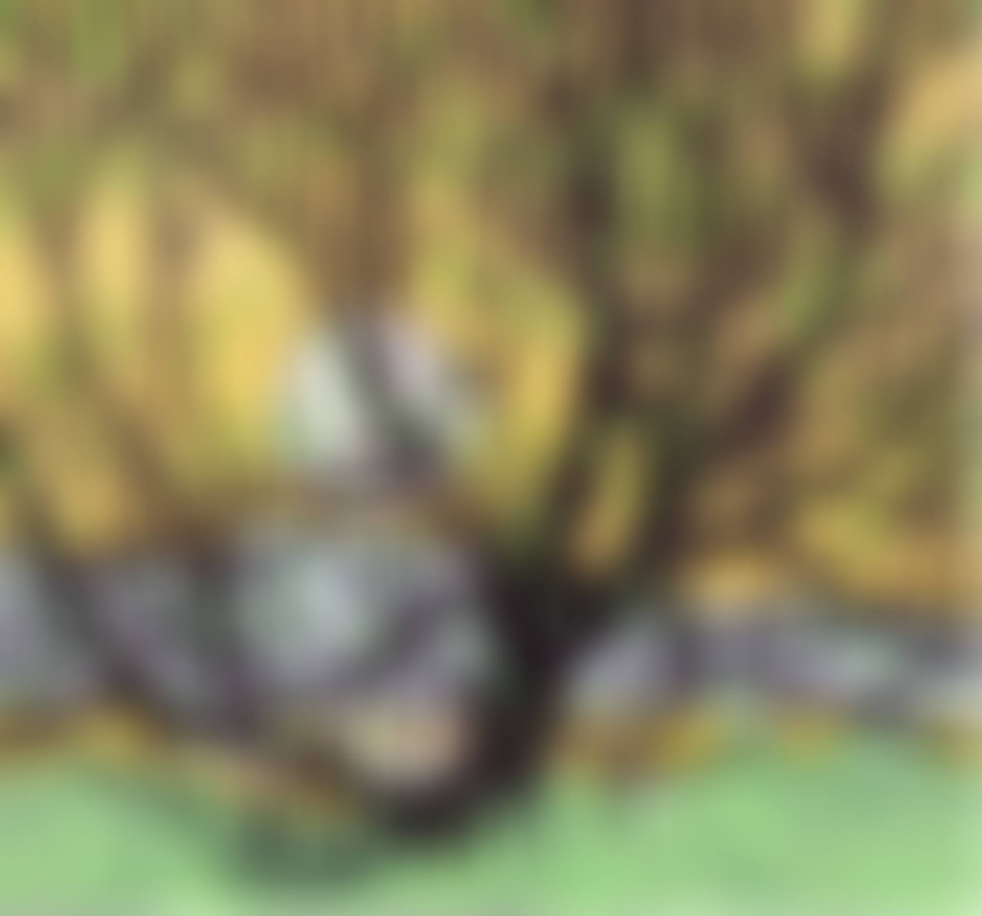 Grenadier Pond (preview)