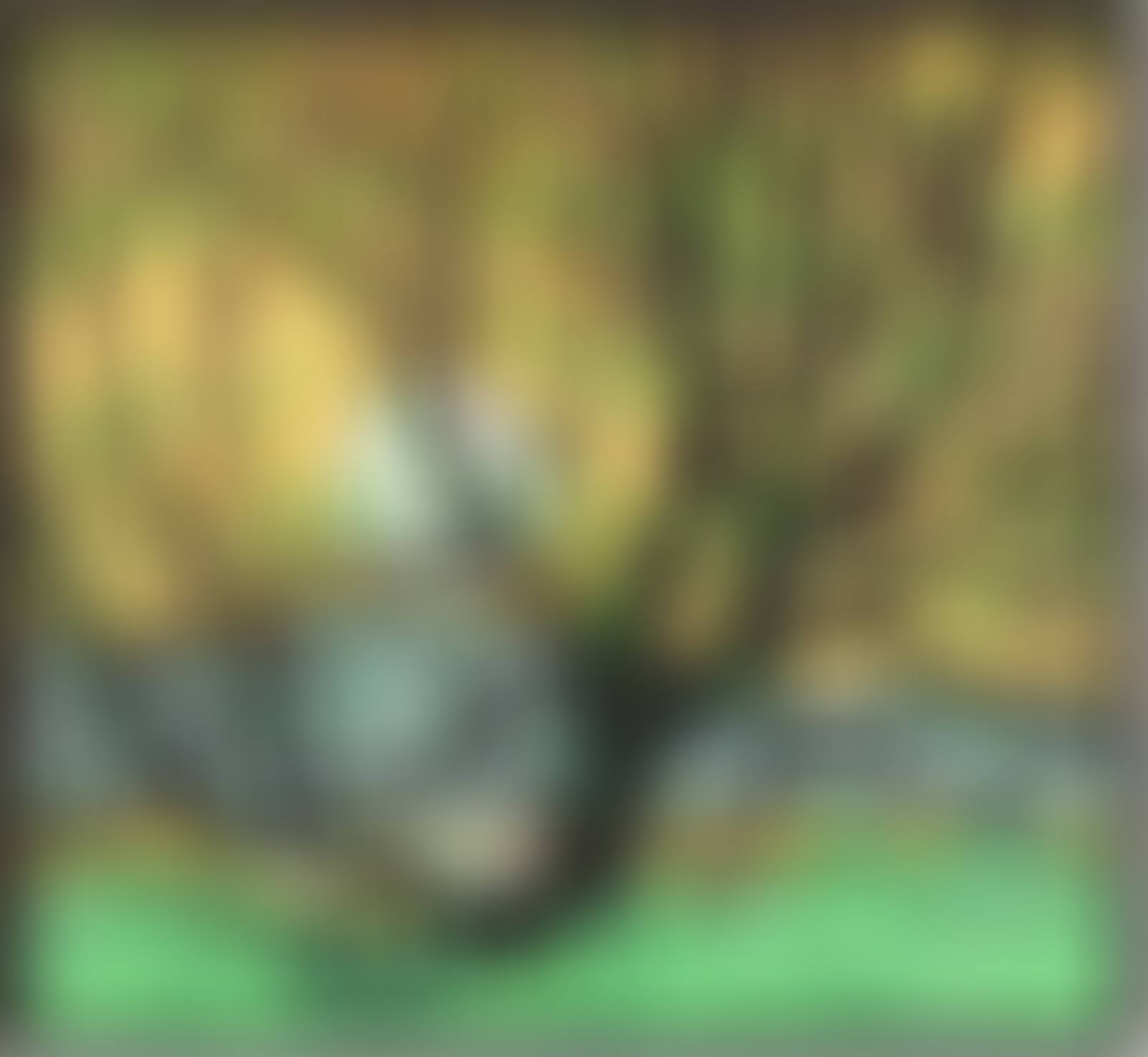 GRENADIER POND (preview)