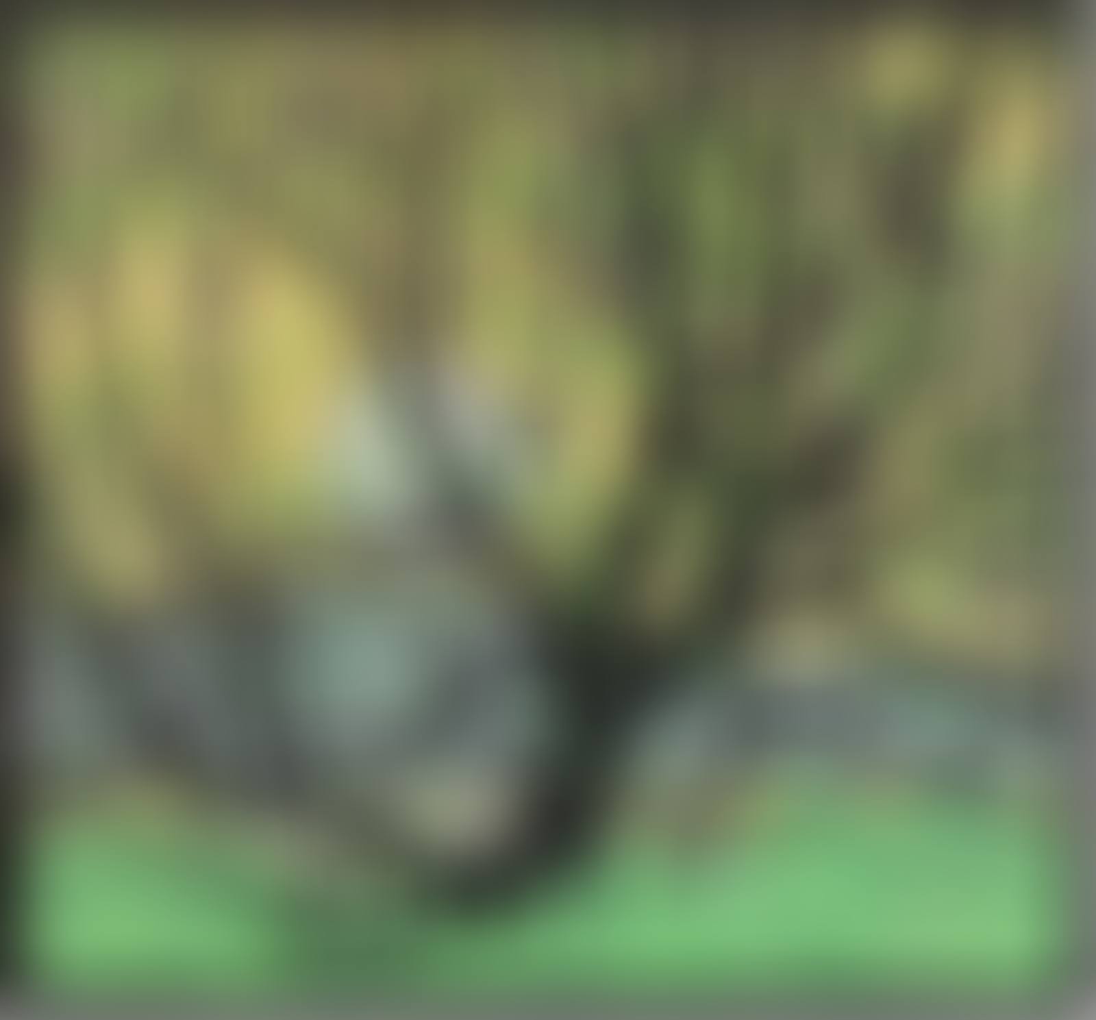 Grenadier pond (preview)