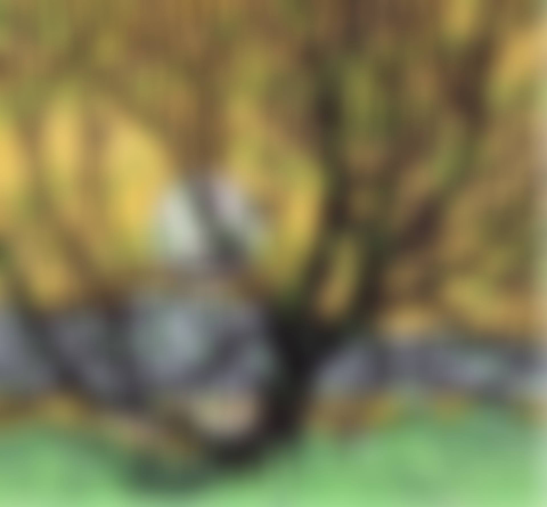 GRENADIER POND (preview)