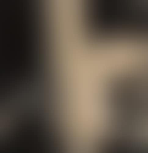 Nature Mort (preview)