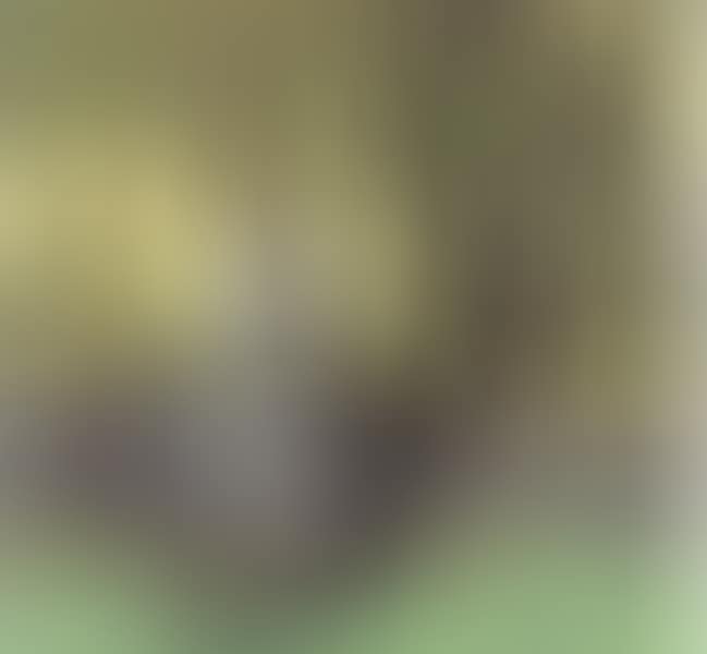 GRENADIER POND (preview)