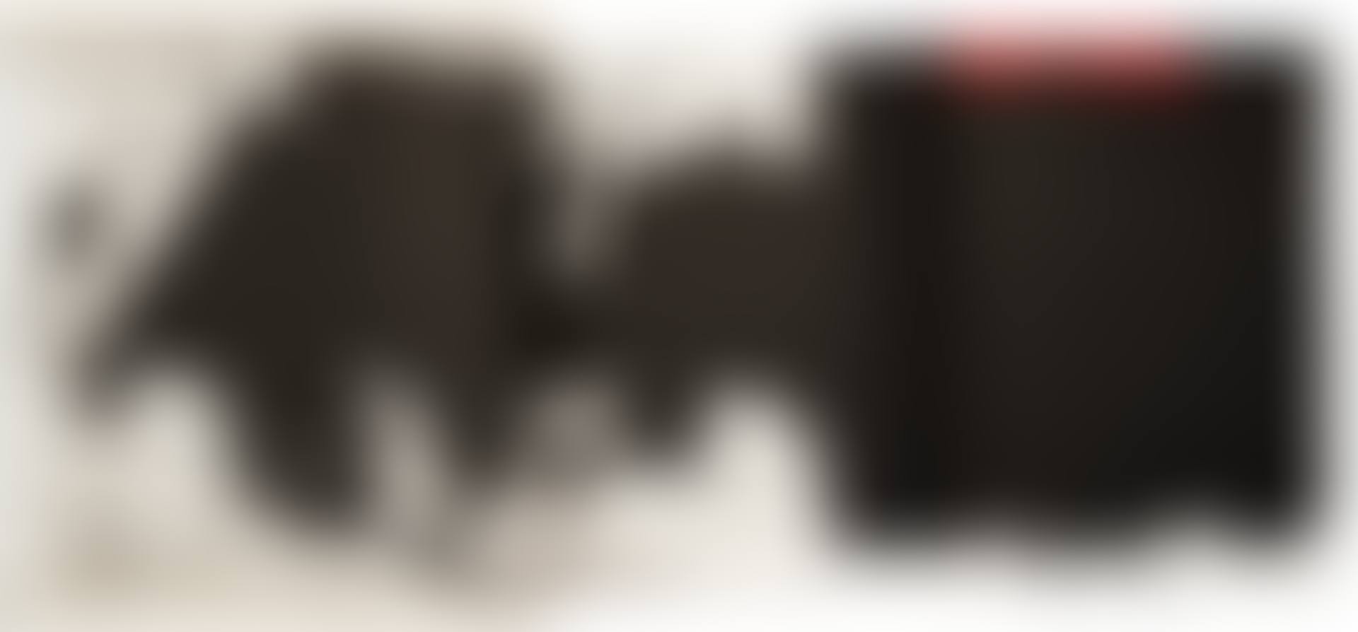 El Negro (preview)