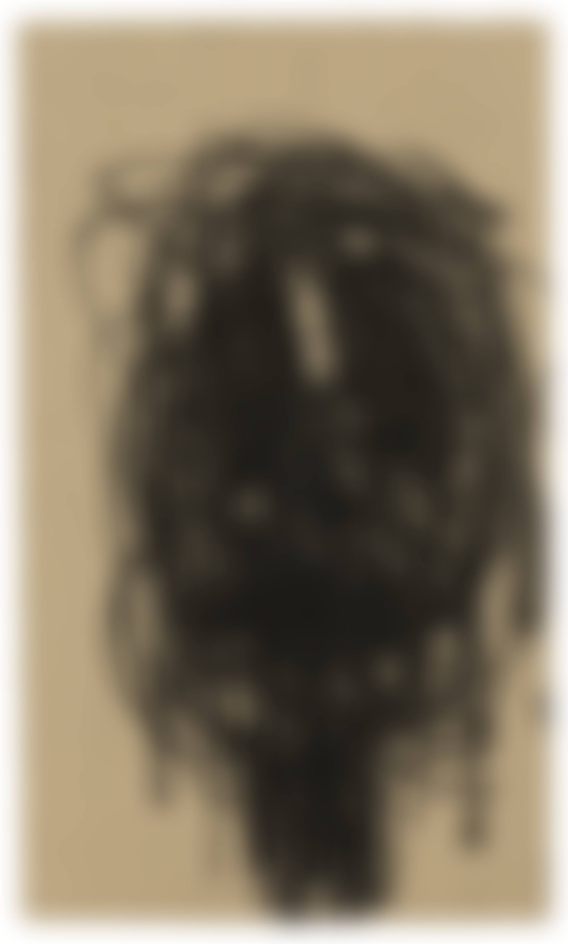 Untitled (preview)