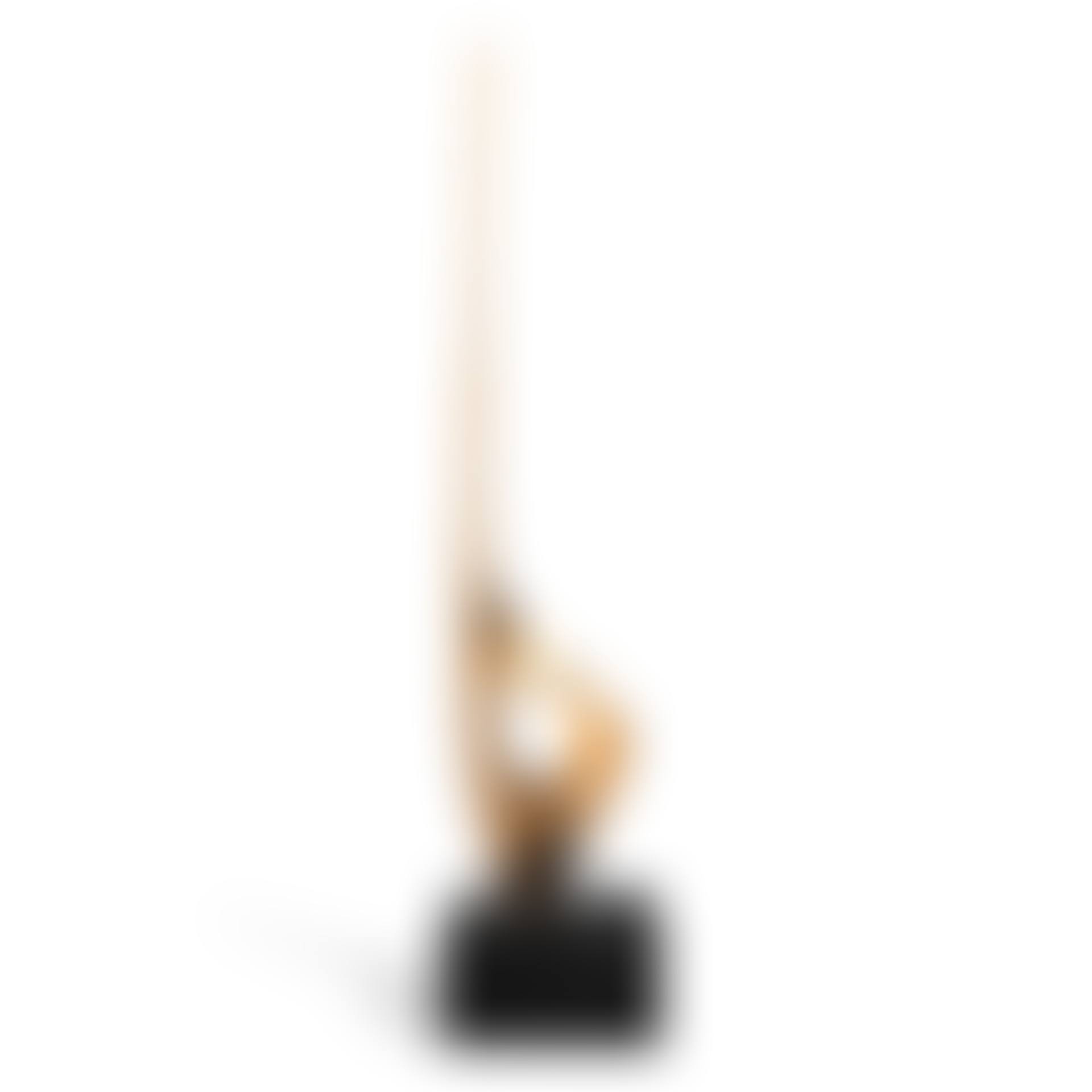 Widdon (preview)