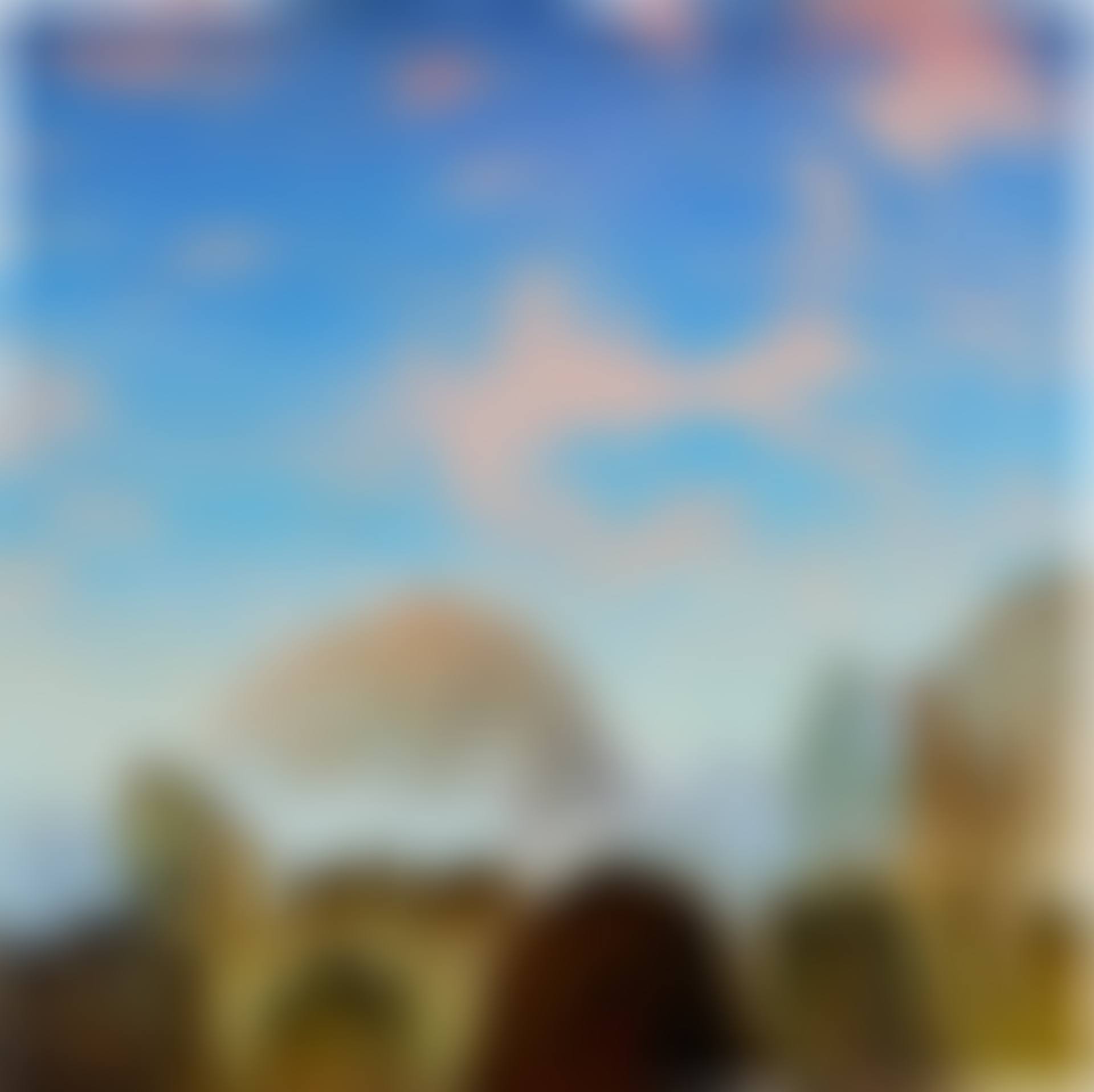 Untitled (preview)
