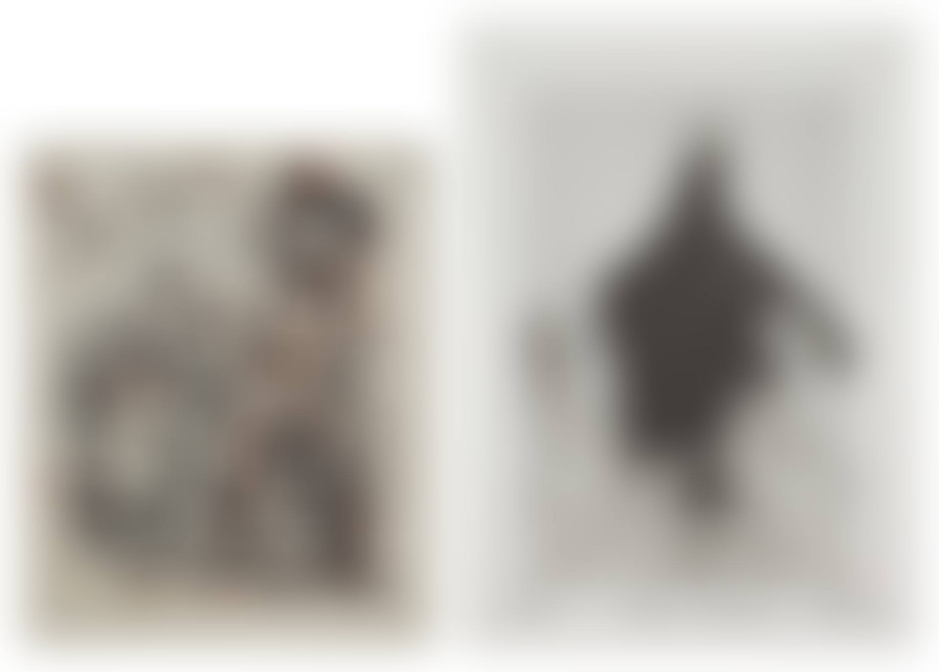 Artists Coming Together to Benefit Democratic Presidential Candidates (ACT): Two Plates (preview)