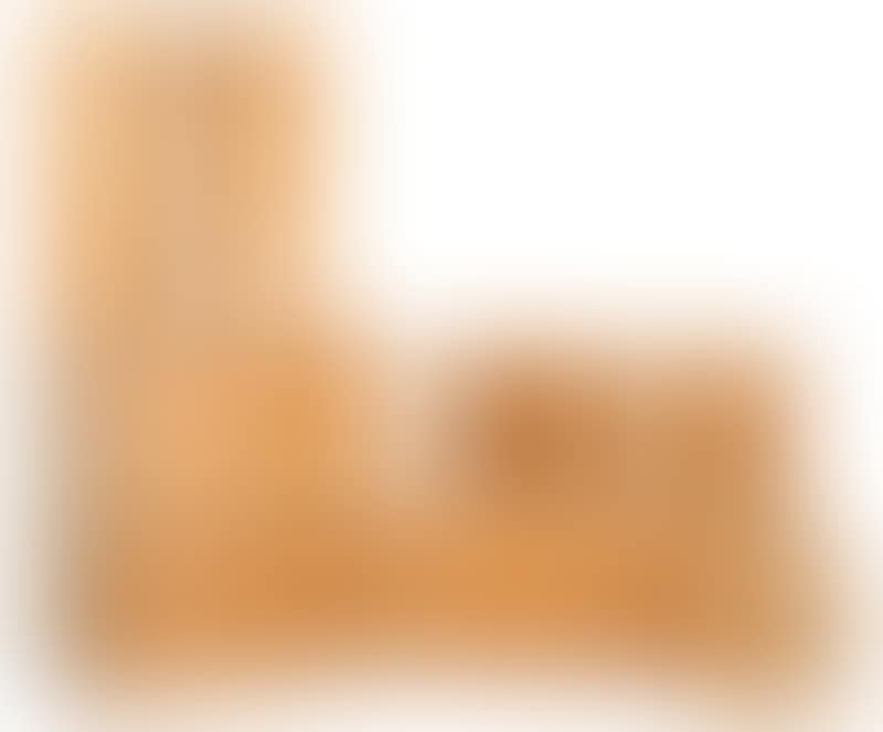 “RY 100” (preview)