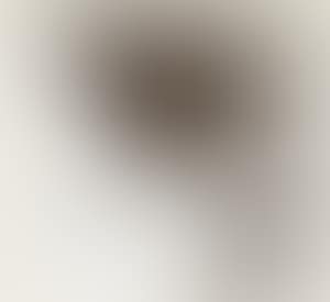 Self-portrait (preview)