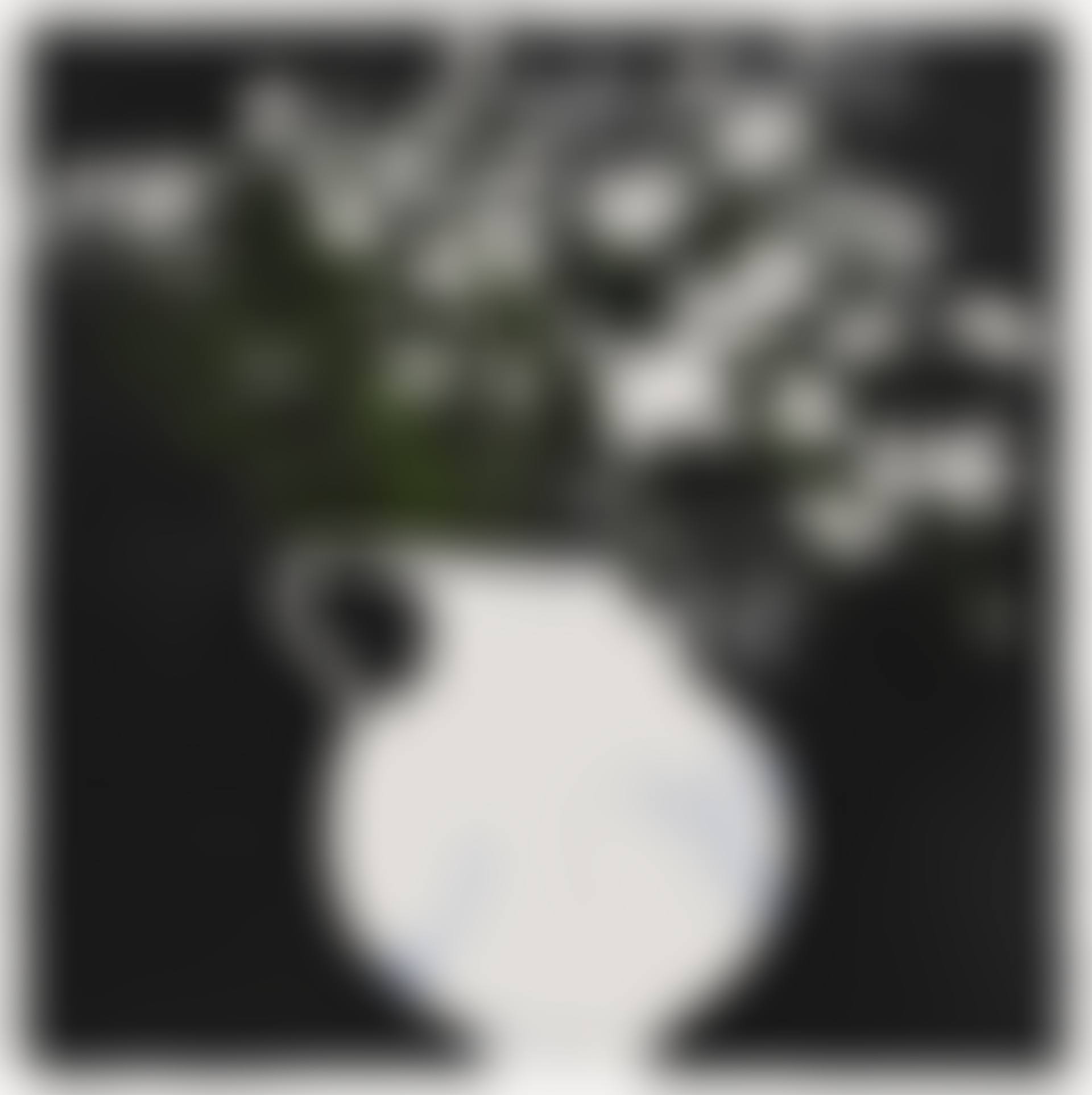 Euphorbia, Nov 21, 1986 (preview)