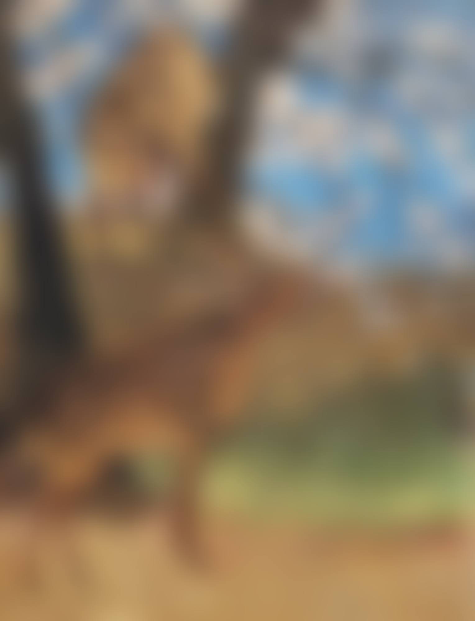 Deer Chirping (preview)
