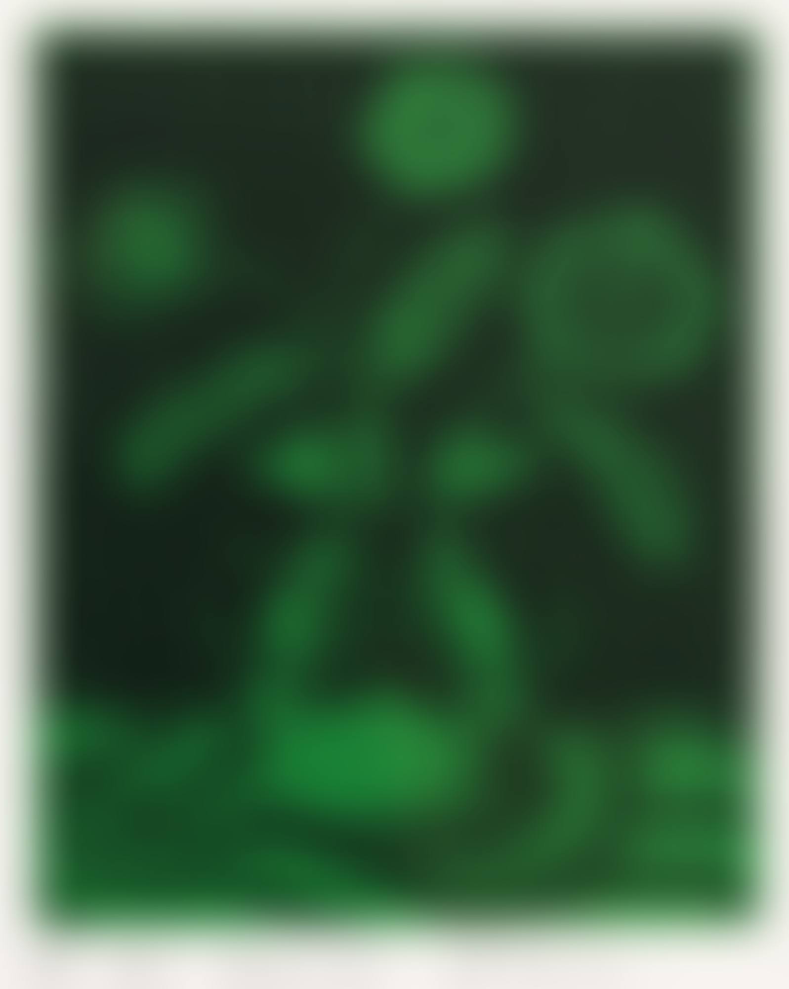 Three Floral Branches (preview)