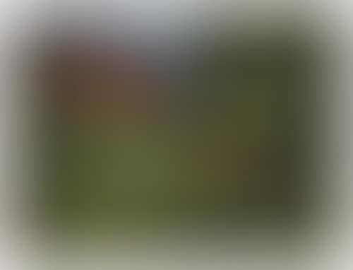 Garden with Red House 1882 (preview)
