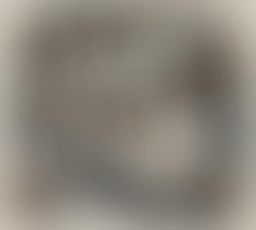 Enclosed Motion (preview)