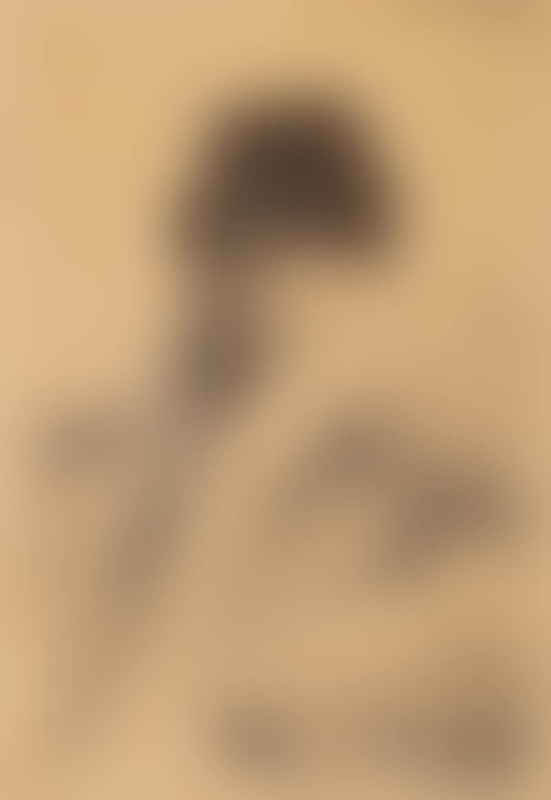 Selvportrett i ulveskinnspels (preview)