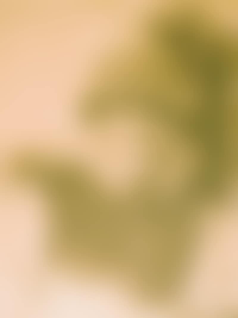 Lavards Anders (preview)
