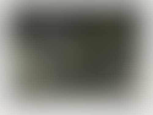 Nature Morte aux Huitres (preview)