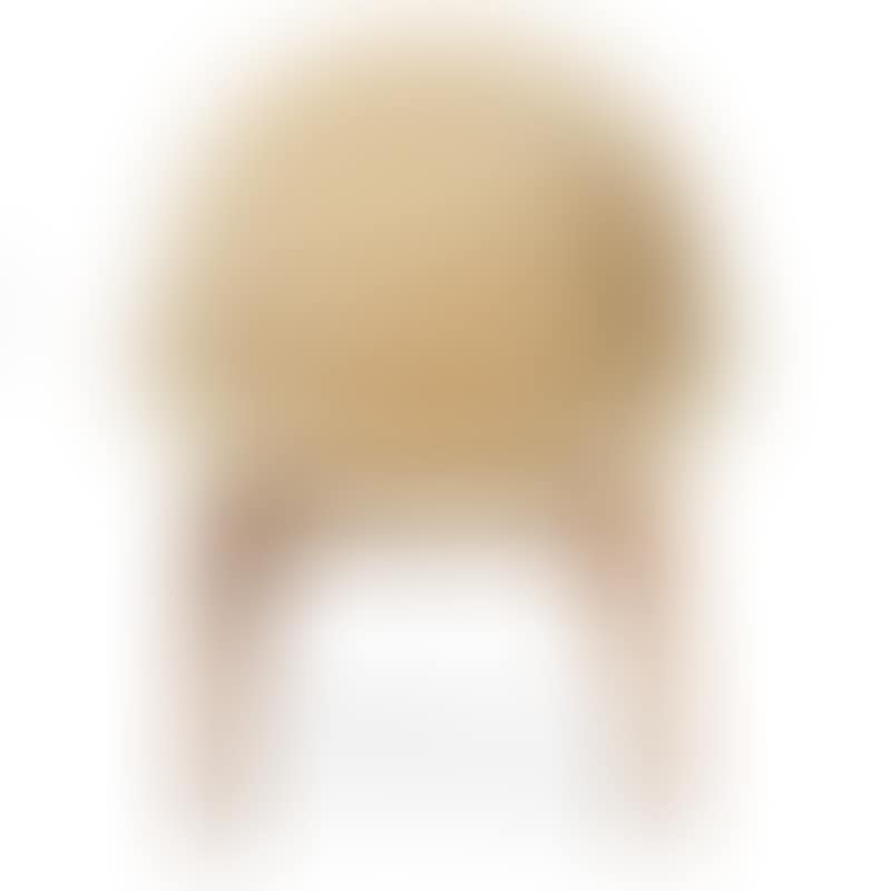 Model 55 (preview)