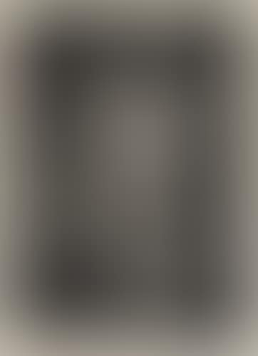 Portrait of T. M. Cleland (preview)