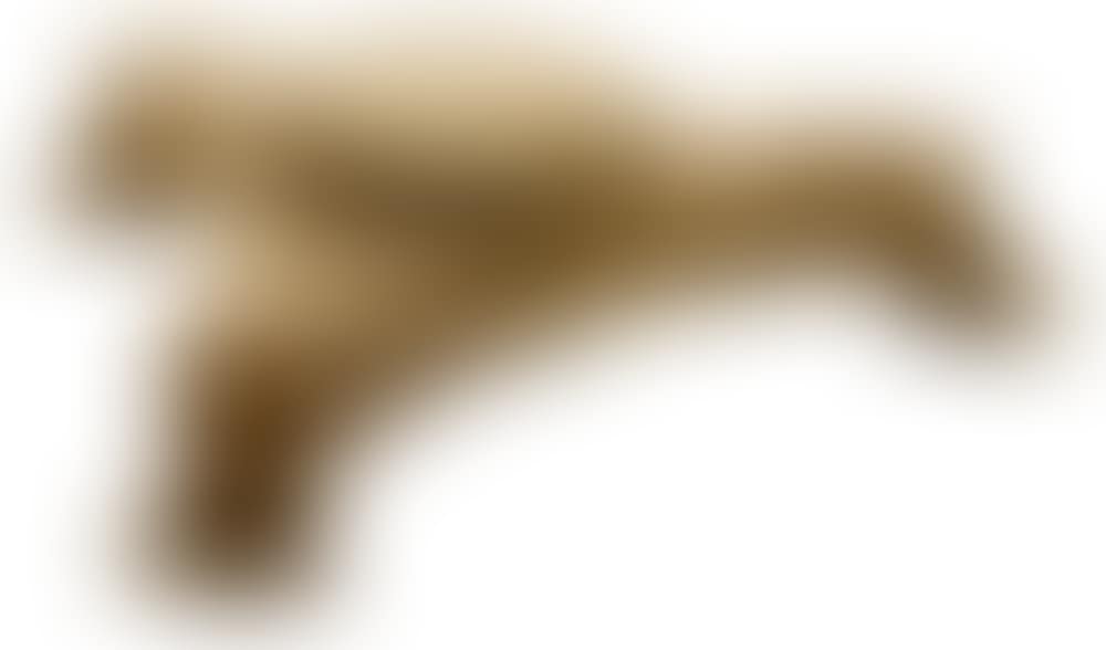 Gilt Bronze Inkwell (preview)