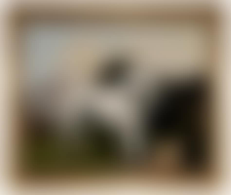 Portrait of a Poodle (preview)