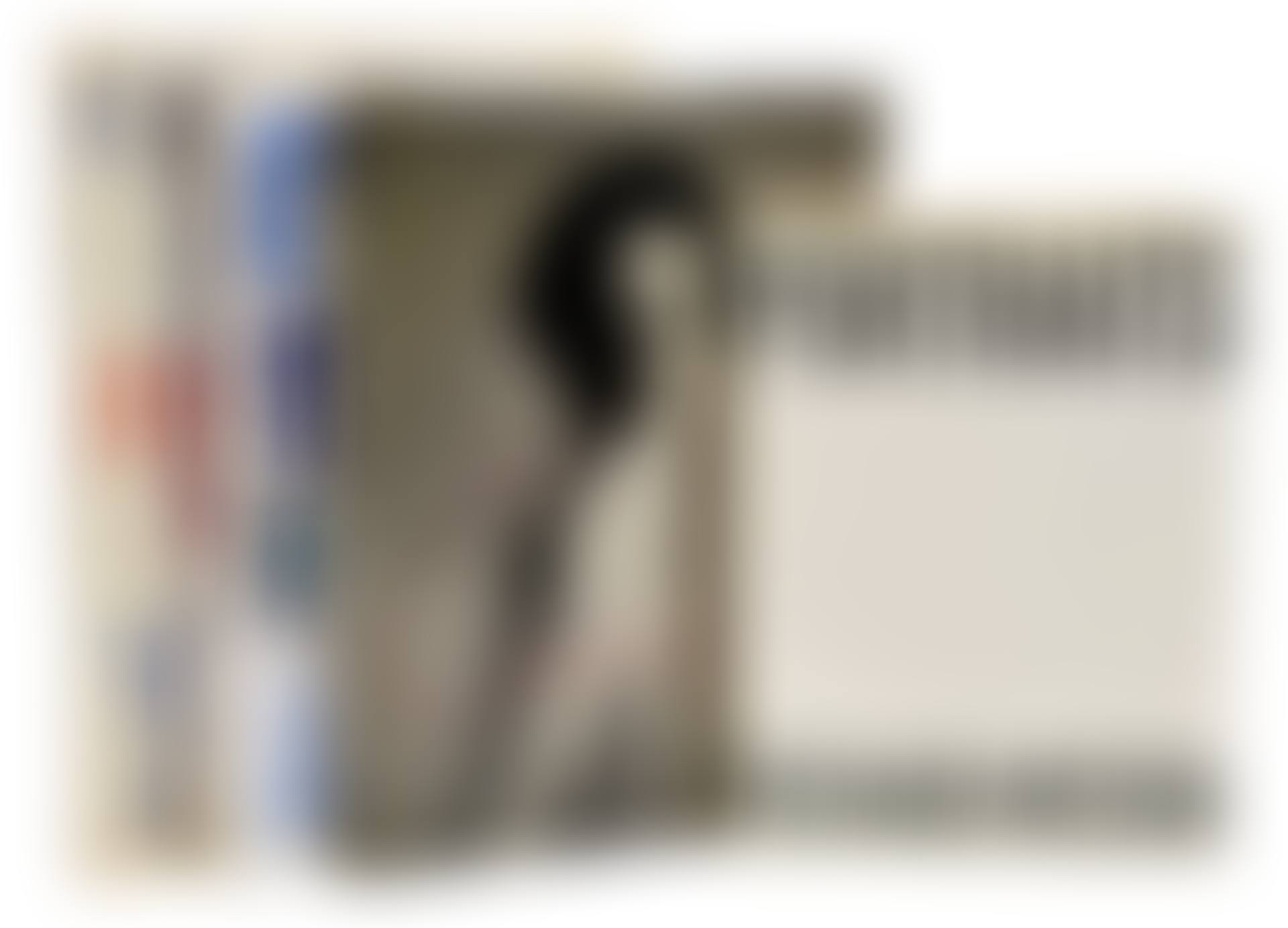 Four Richard Avedon Photography Books (preview)